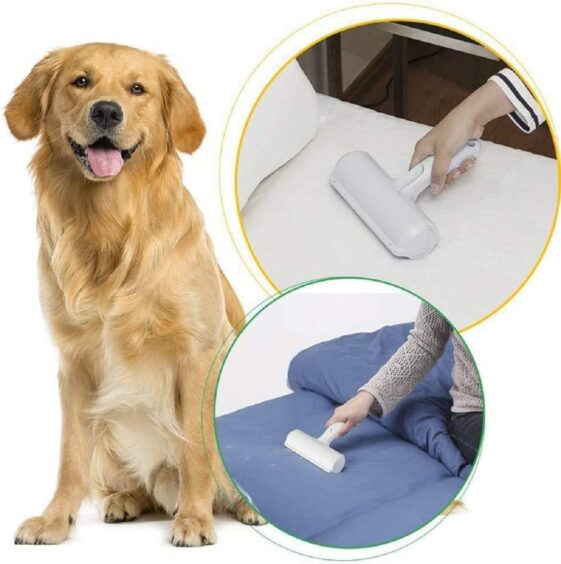 PAW4LIFE Pet Hair Remover - Image 3