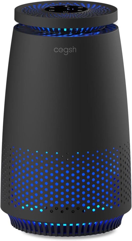 Air Purifiers for Home Bedroom