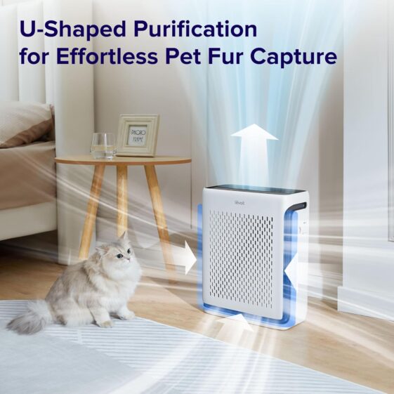AMEIFU Air Purifiers for Home Large Room - Image 4
