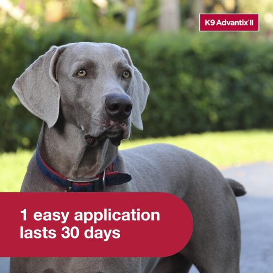 K9 Advantix II XL Dog Vet - Image 3