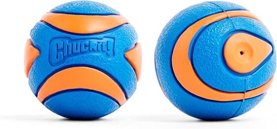Chuckit! Ultra Squeaker Ball Dog Toy for Medium - Image 2