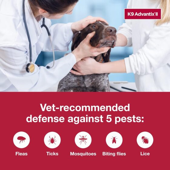 K9 Advantix II XL Dog Vet - Image 4