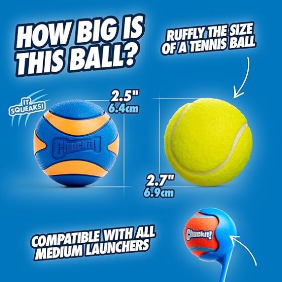 Chuckit! Ultra Squeaker Ball Dog Toy for Medium - Image 3