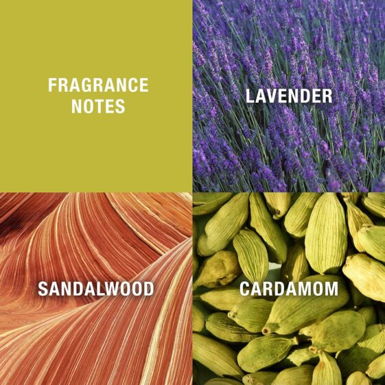 Men's Cologne Fragrance Spray by Curve - Image 8