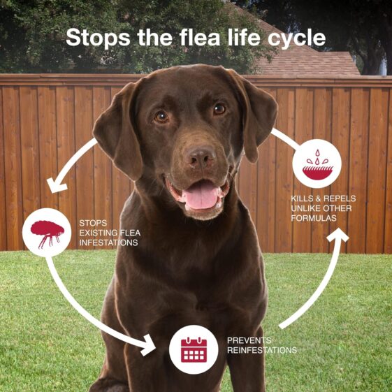 K9 Advantix II XL Dog Vet - Image 2